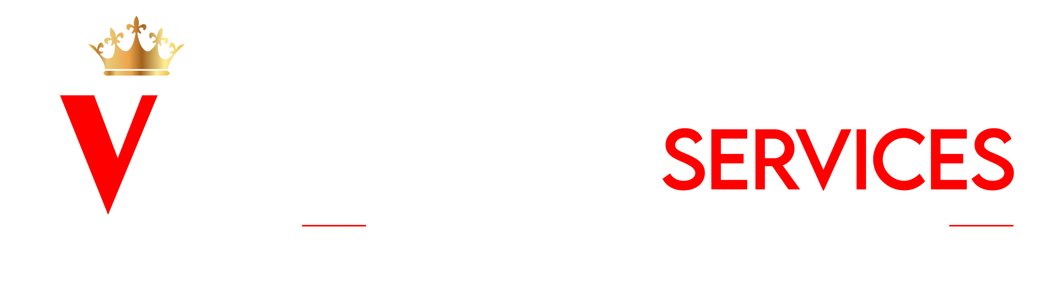 V B Global Services
